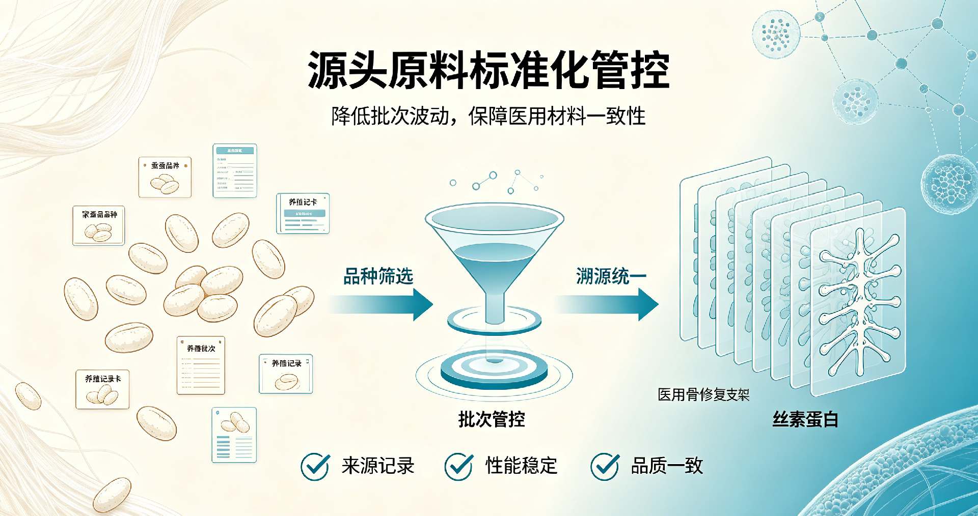 1782975456258726.png 20260626-丝素蛋白宣传图片2.png