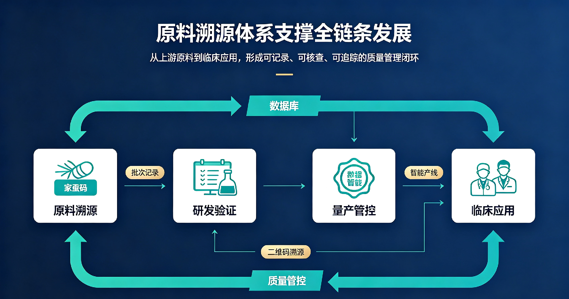 1783329116129777.png 20260703-丝素蛋白宣传图片2.png